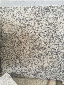 The Most Economic Chinese Granite Light Grey G602 For Step