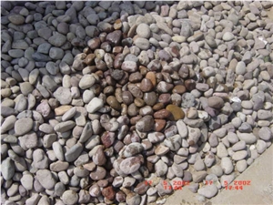 China Yellow Quartzite Pebble Stone On Mesh