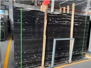 Chinese Black And White Marble Silver Dragon Polished Slabs