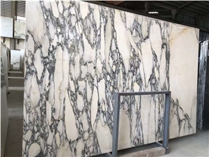 Arabescato Corchia Marble