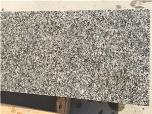 Grey Sardo Granite Slabs