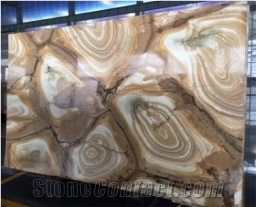 Excellent Quality Palomino Quartzite Polished Slabs