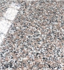 Excellent Quality Wulian Flower Polished Factory Granite