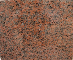 Popular Stone MAPLE Red G562 China Origin Granite Slab