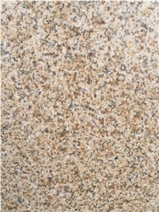 Popular Stone Misty Yellow SIZE 245*60*2Cm Granite Slab