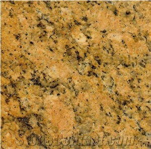 Stable Quality Brazil Origin Giallo Veneziano Granite Slabs