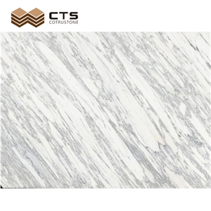 Fine Lines Snow White Marble Slab Tiny Veins Decor