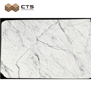 Wholesale Slabs Floor Area Best Price Slab Statuario White