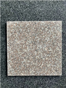 China Coffee Brown Granite G664 Thin Tile Polilshed