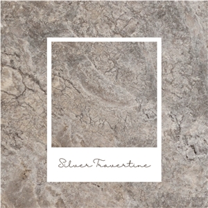 Silver Travertines - Natural Stone