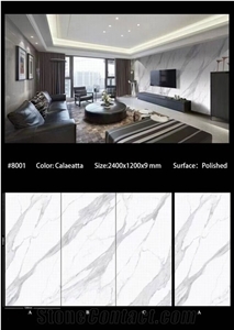 Special Offer Chinese Sintered Stone Background Slab