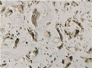 Muschelkalk Weiss Limestone Wall Tiles
