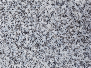 New G439 Grey Granite Polished Slab, China Grey Granite Tile