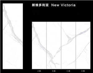 China Sintered Stone New Victoria Polished Slab