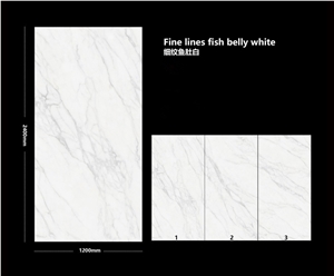Sintered Stone Fine Lines Fish Belly White Polished Slab
