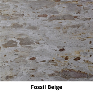 Fossil Beige Marble