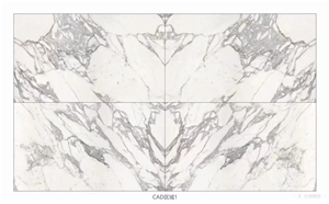 Italy Calacatta Marble Sketch Wall Panels