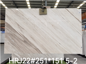 Italy Palissandro Classico  White Marble