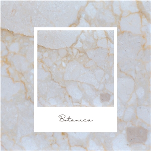 Light Beige Marble - Botanica Beige Marble