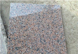 Chinese Rosa Porrino Pink Granite Flooring Tiles