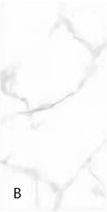 China White Calacatta Porcelain Stone Slabs For Wall
