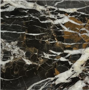 Black And Gold Michelangelo Marble Slabs