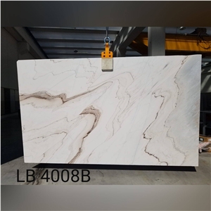 Palissandro Classico Marble Slabs LB4008/B