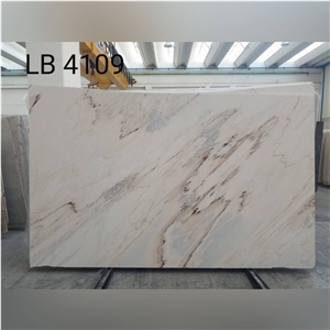Palissandro Semiclassico Marble Slabs LB4109