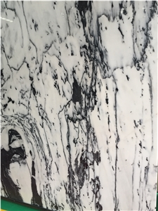 HOT SALE! Panda White Marble, Own 2 Factories, Tiles& Slabs