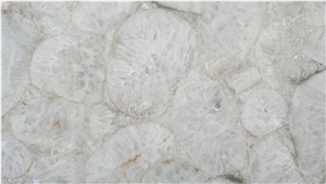 Agate Jellyfish Semiprecious Stone