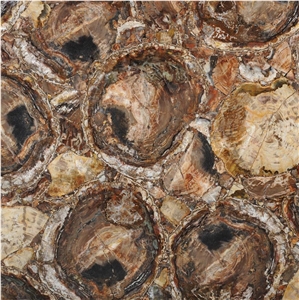 Petrified Wood Brown Semiprecious Stone