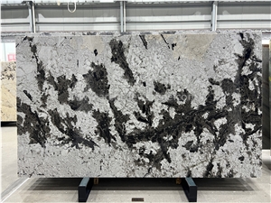 Silver Fox Granite Slabs For Counter Tops