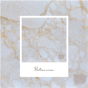 Beige Marble - Botanica