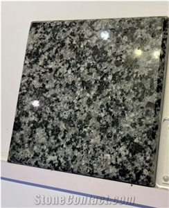 Hot Cheap New G654 Crystal Grey Granite Tiles