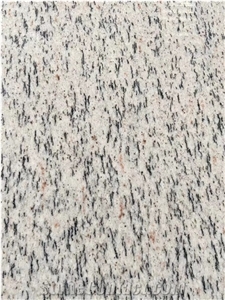 White Granite Floor Tile Camelia White Gabbro Wall Tile