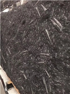 Marmo Black Honed, Marmo Nero Fossil Slabs