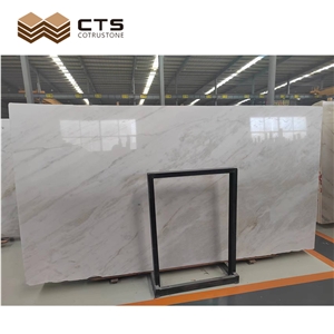 Rhino White Floor Slab Tiles Marble For Villa Hotel Project