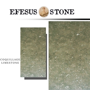 Eflani Fossil Rustic Green Limestone