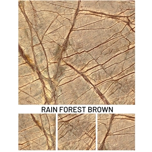 Rainforest Brown-Castanho Indico Marble