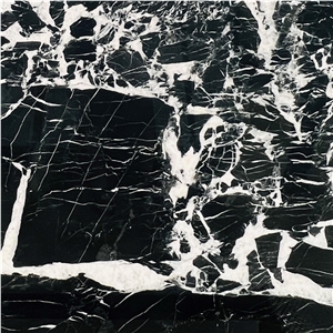 Luxury Noir Grand Antique Marble Slab