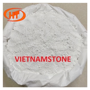 Calcium Carbonate Caco3 Powder Vietnamese Calcium Powder