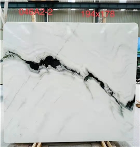 China Panda White Marble Slab Tiles Clear White Marble