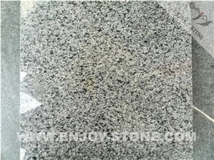 Cheap Polished Georgia Grey Granite Tiles & Slabs