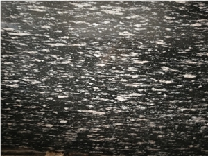 China Night Snow Black Granite Slab For Walling