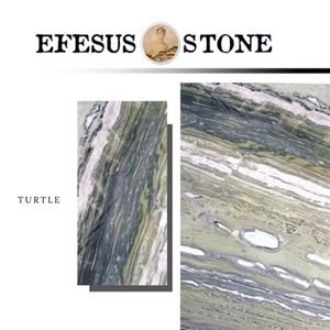 Green Turtle Marble Collections
