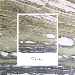 Green Turtle Marble Collections