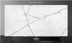 Man-Made Quartz Calacatta Slab For Kitchen