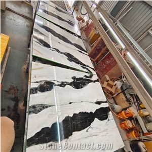 Beautiful Panda White Marble With Black Veins Slabs For Wall