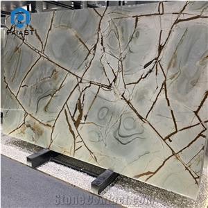 Natural Bookmatched Roman Impression Blue Quartzite For Wall