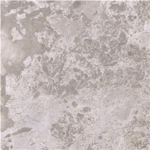 Silver Champagne Marble Tile